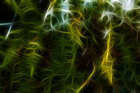 ާ��ֲ�����