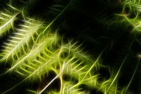 ާ��ֲ�����װ�λ�