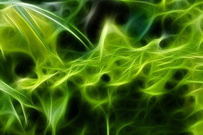 ާ��ֲ���޿�