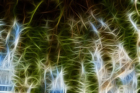 ާ��ֲ��������