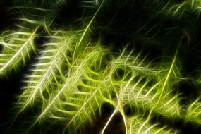 ާ��ֲ��װ�λ�