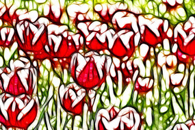 ����άɪ���������