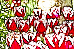 ����άɪ�������޿����