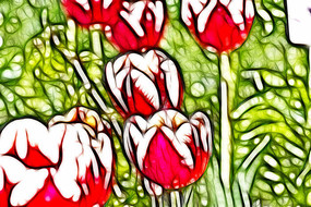 ����άɪ�������޿����������