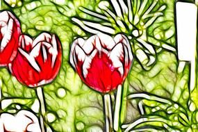 ����άɪ�������޿�