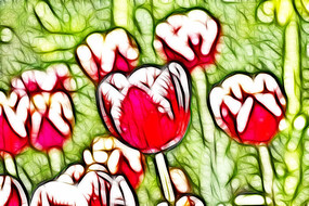 ����άɪ�������޿򻭳���