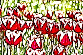 ����άɪ������������