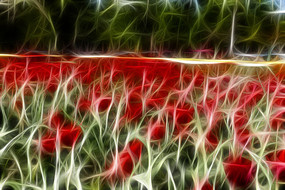 �������������