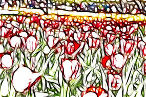 ���������㻨��������