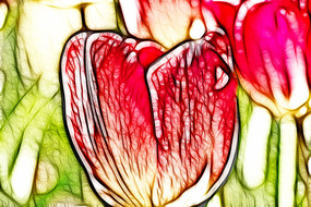 �����������޿����������