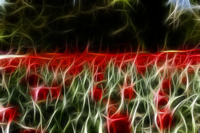 �����������޿�