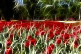 ����������������