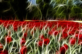 ����������װ�λ�