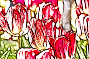 ����������װ���޿����������