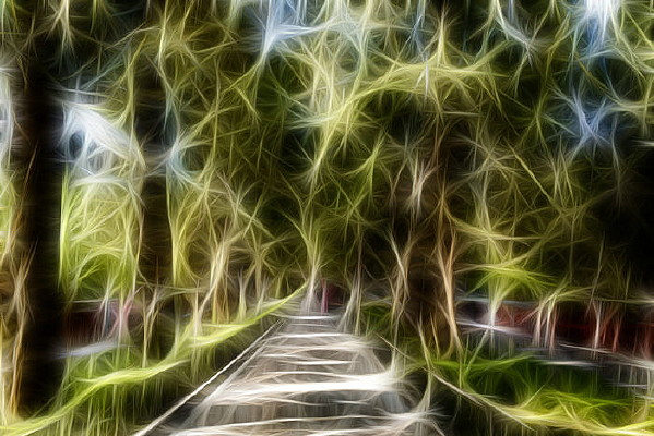 �ּ�ŵ�װ�λ�