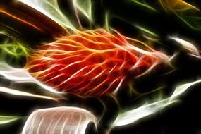 �������������