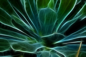 «��������