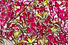 ÷������