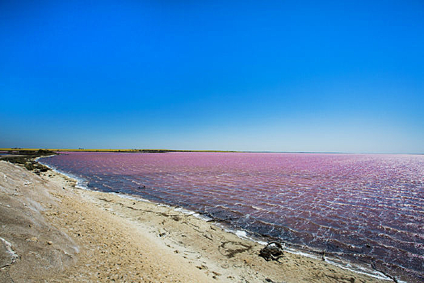 �����İĴ�����