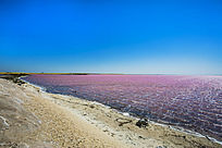 �����İĴ�����