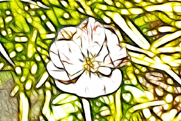 �����ʺ��������޿�