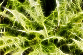 �λ�ާ��ֲ��װ�λ�