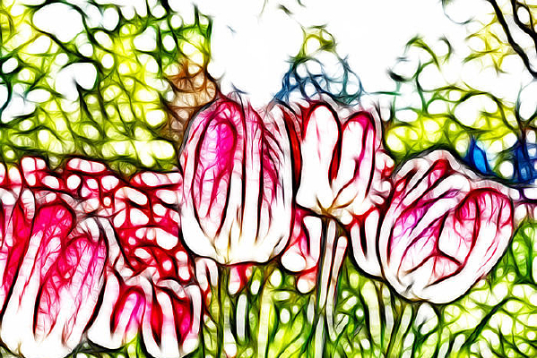 �ξ��������޿�