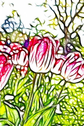 �ξ�������������