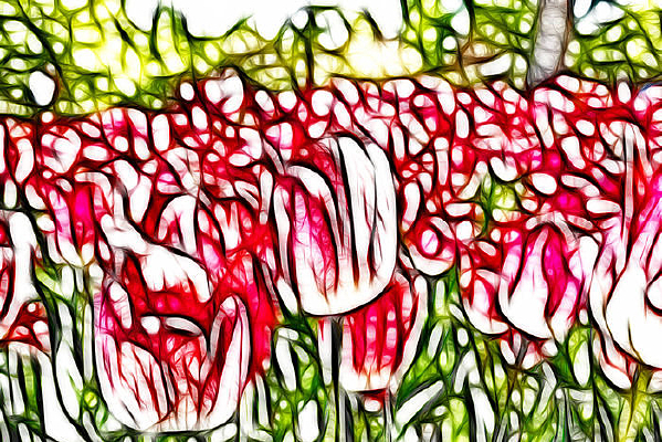 �ξ�������װ�λ�