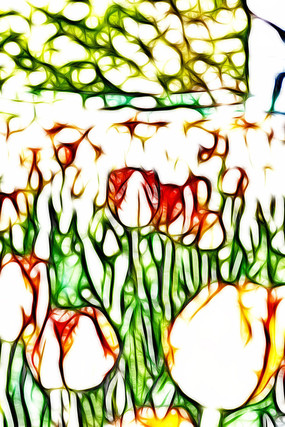 �������������