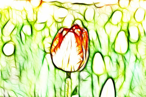 �������������������