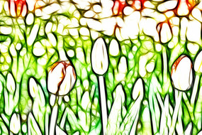 �����������޿����������