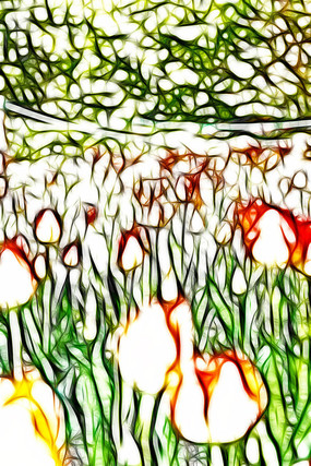 �����������޿�