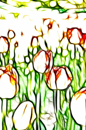 ����������������