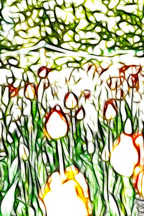 ����������װ�λ�