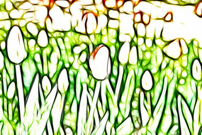 ����������װ���޿����