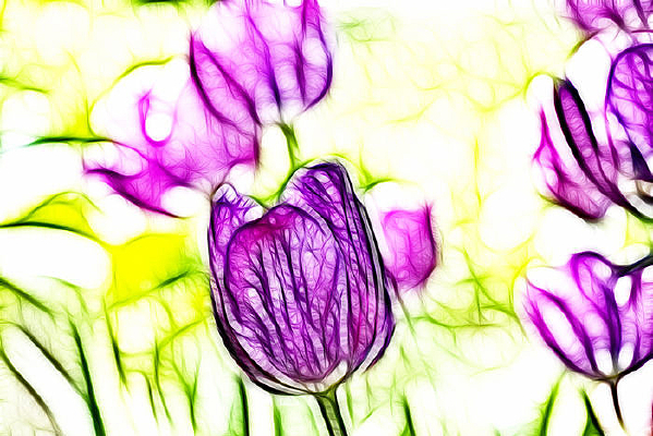 ���Ÿ������������