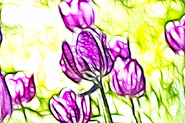 ���Ÿ����������޿�