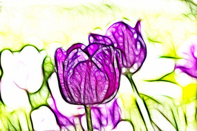 ���Ÿ���������������