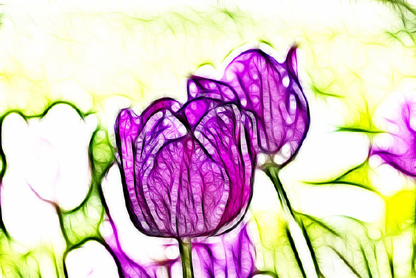 ���Ÿ���������������