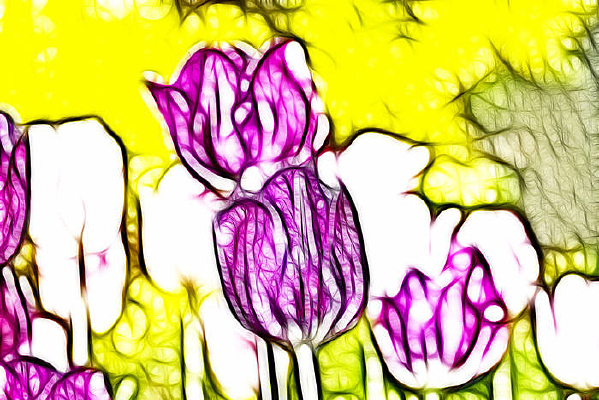 ���Ÿ���������װ�λ�