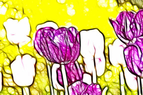 ���Ÿ���������װ���޿�