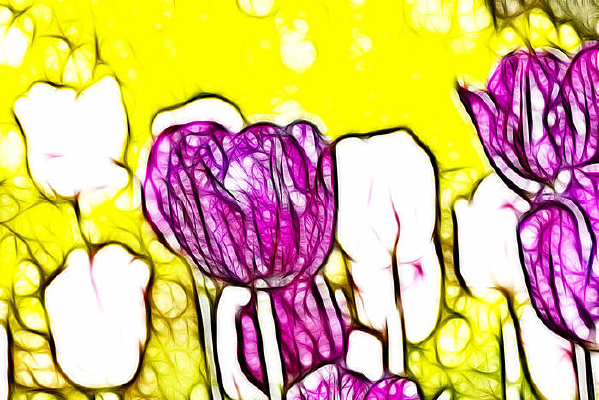 ���Ÿ���������װ���޿�