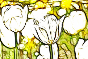 ����˹�����������