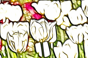 ����˹�����������������