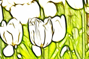 ����˹���������޿����������