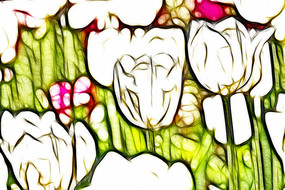 ����˹���������޿�