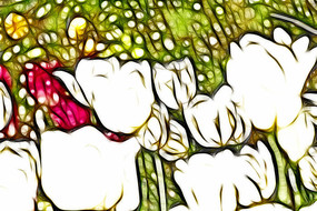 ����˹���������޿򻭳���