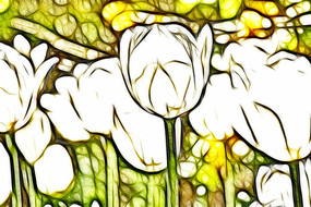 ����˹��������������