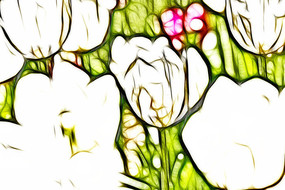 ����˹��������װ�λ�